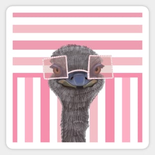Funny Ostrich on Pink Stripes Sticker